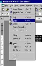 4. Din meniul Edit alegem comanda Paste. Atunci când dorim mai multe copii putem repeta paşii 3 şi 4.