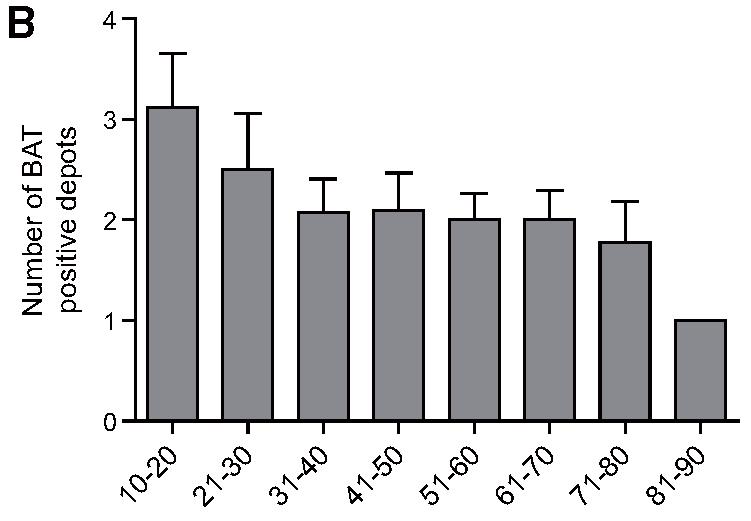 Diabetes 2009; 58: 2583 2587 23 Η επίδραση