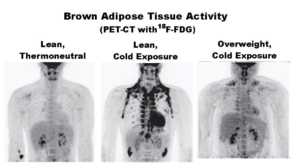 https://cardiologydoc.wordpress.