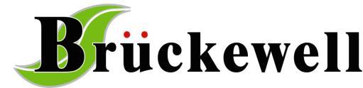bruckewell-semi.com Sunrisetek Co.,Ltd (SRT) http://www.
