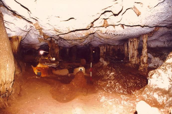 Κατά την Ύστερη Μυκηναϊκή εποχή, συγκεκριμένα κατά το διάστημα από τον 14 ο έως τον πρώιμο 12 ο αιώνα π.χ., το σπήλαιο, ειδικότερα ο μεγάλος Θάλαμος 8, χρησιμοποιήθηκε ως χώρος ενταφιασμών ατόμων από την ανώτερη, ίσως, κοινωνική ιεραρχία της περιοχής.