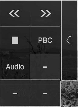 :LR خروجی صوتی تک صدایی را تشخیص میدهد. :RR خروجی صوتی راست را تشخیص میدهد. :ST خروجی صوتی استریو را تشخیص میدهد. :PBC عملکرد PBC روشن است. :VER نسخه VCD است.