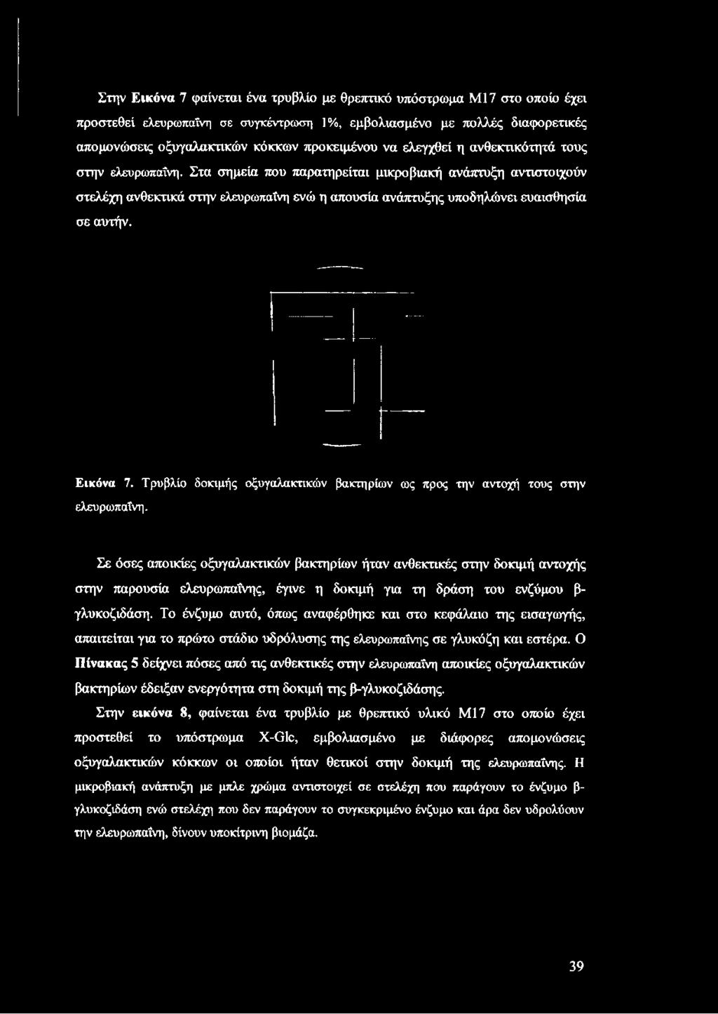 Στα σημεία που παρατηρείται μικροβιακή ανάπτυξη αντιστοιχούν στελέχη ανθεκτικά στην ελευρωπαΐνη ενώ η απουσία ανάπτυξης υποδηλώνει ευαισθησία σε αυτήν. Εικόνα 7.