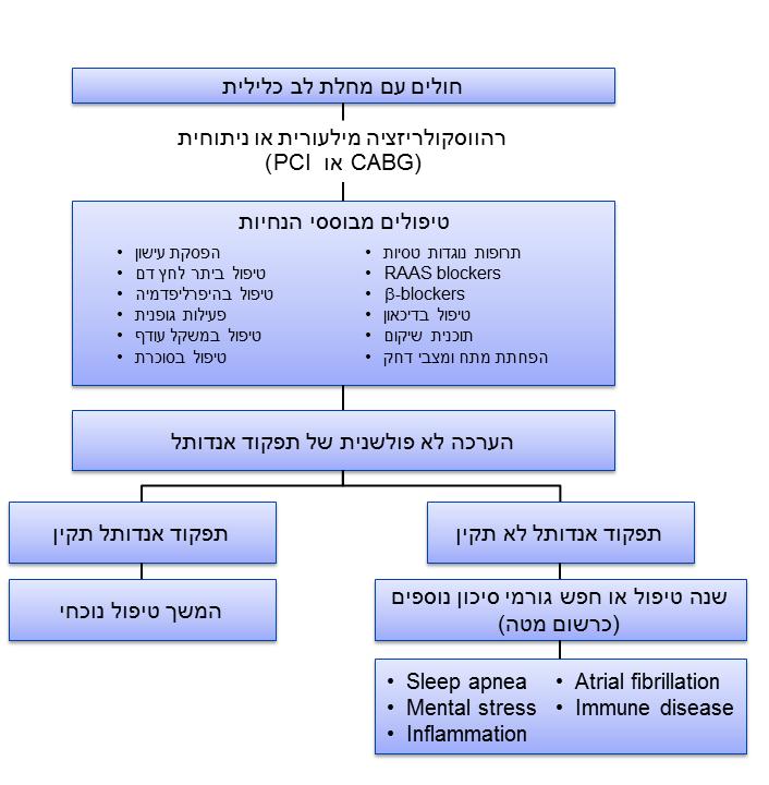 תרשים: שימוש אפשרי בהערכת תפקוד האנדותל
