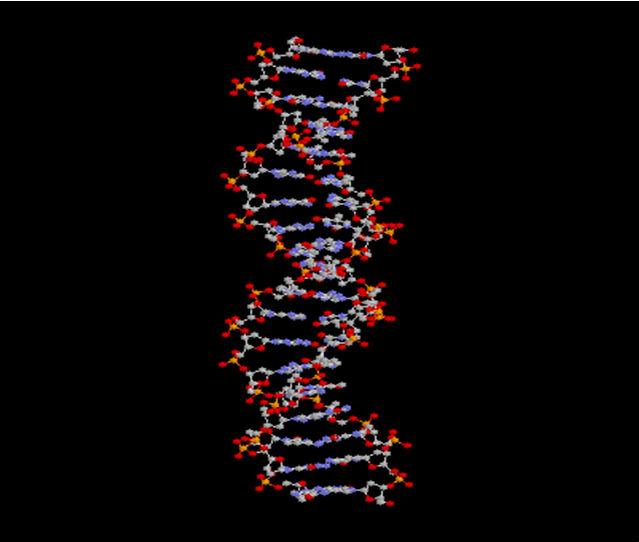 Tο µόριο του DNA είναι ικανό: Να φέρει