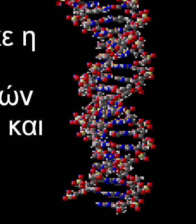 γενετικό υλικο. 1953: παρουσιάζεται ένα µοντέλο για τη δοµή του DNA.