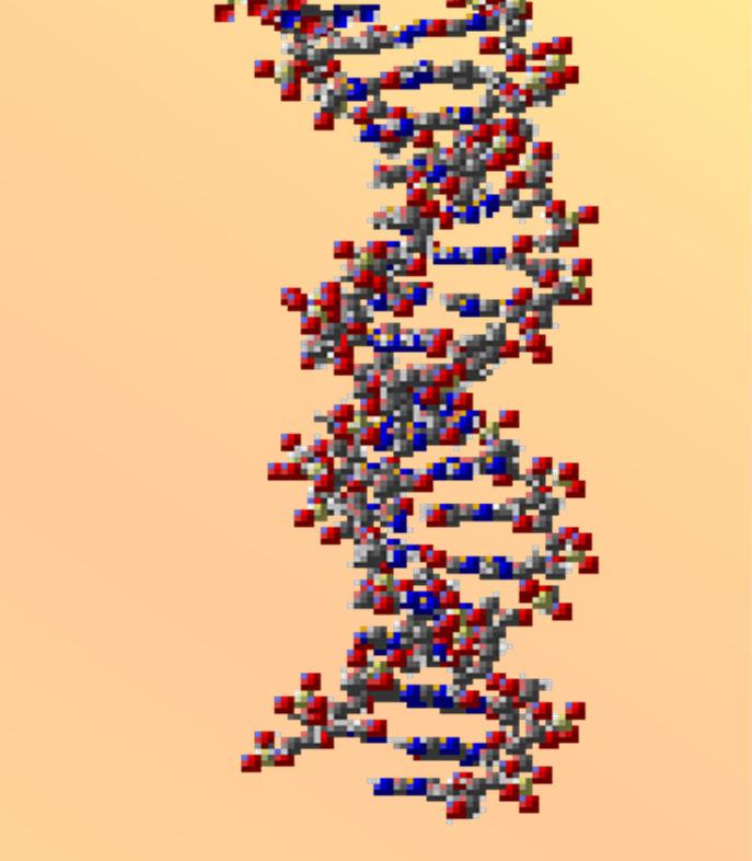 Το µεγάλο µήκος δικαιολογεί επίσης τη µοναδική ιδιότητα του DNA, να