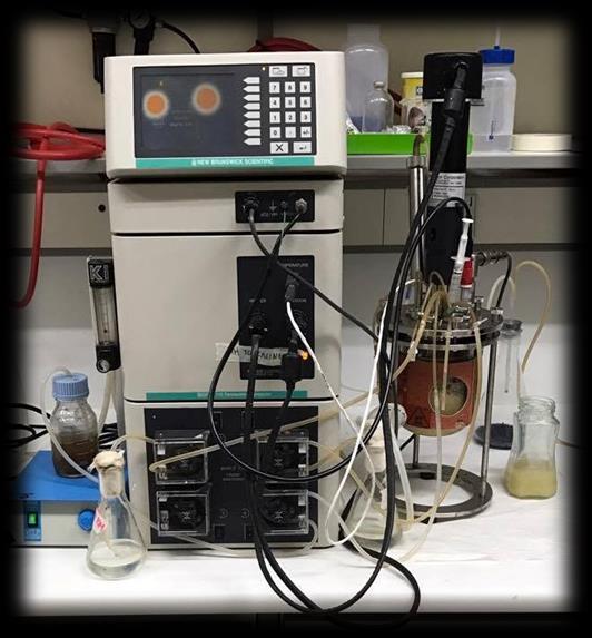 ενεργό όγκο στο 0.6 L, με πυκνό διάλυμα ακατέργαστης ζάχαρης να προστίθεται όταν η συγκέντρωση των σακχάρων στο υγρό της ζύμωσης ήταν περίπου στα 20 g.