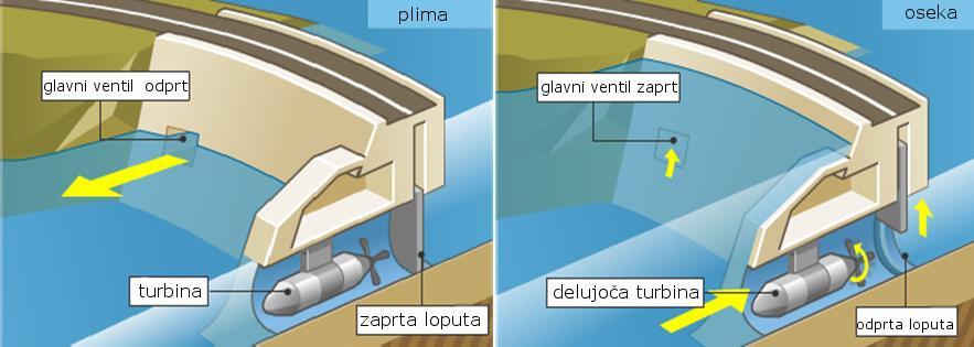 2.4.5 Bibavica Morje in oceani zavzemajo kar dve tretjini celotne površine Zemlje. So vir različnih oblik energije. Pojavi na morjih in oceanih so predvidljivi.