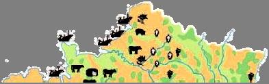 αιγοπρόβατα χοίροι βοοειδή ζαχαρότευτλα σταφύλια