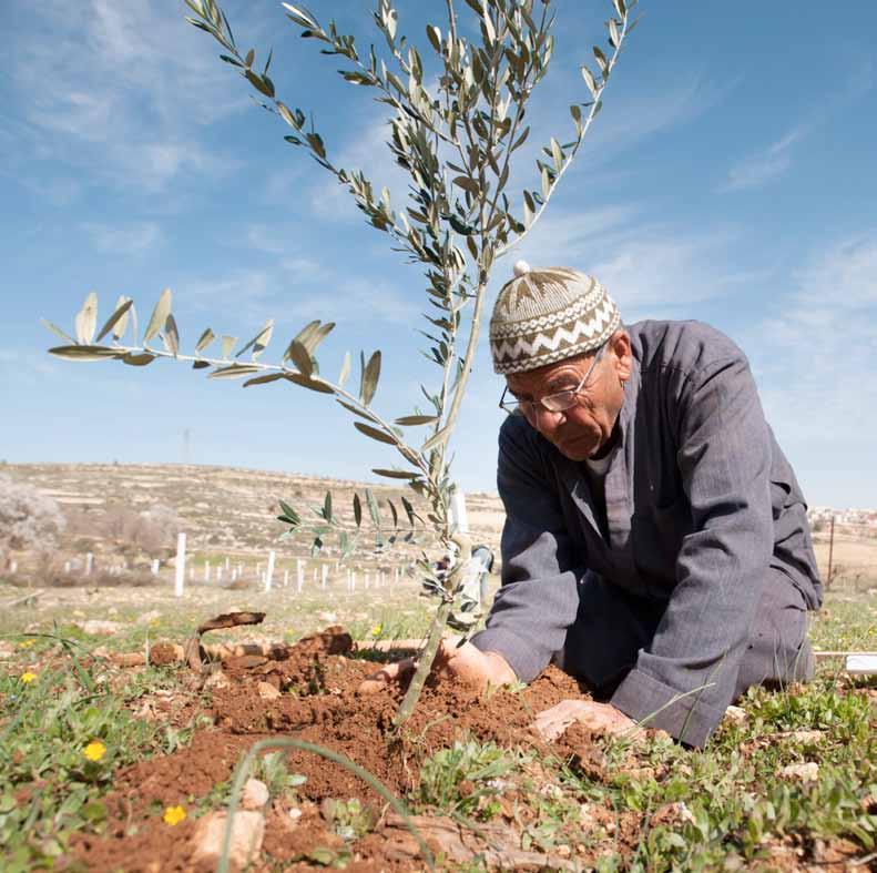 74 الفص ل ٣ مسساهمة الزراعة البعلية وص غار المزارعين في