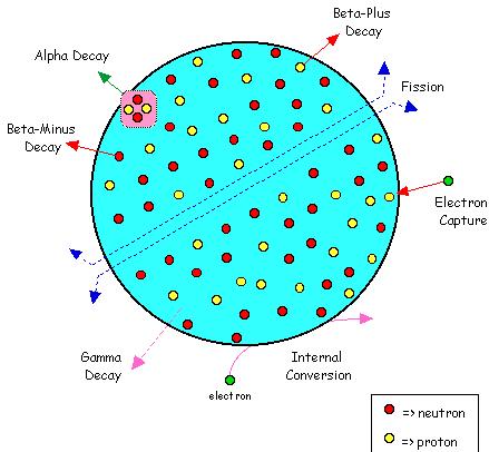 Firstly we can see two protons and two neutrons being emitted together in a process called alphadecay.