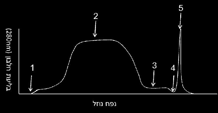 63 17. איזה מבין המשפטים הבאים נכון לגבי פניצילין?