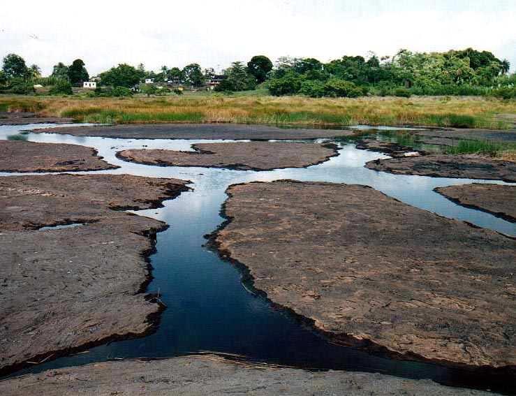 Veliko nalazište čistog asfaltnog bitumena je jezero Bermudez u Venezueli (4000 ha) i deset puta manje Asfaltno jezero na Trinidadu (slika 34).