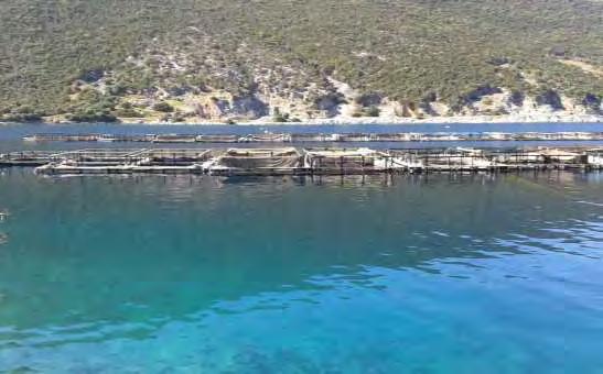 22 Εικόνα 2.2. Πλωτοί