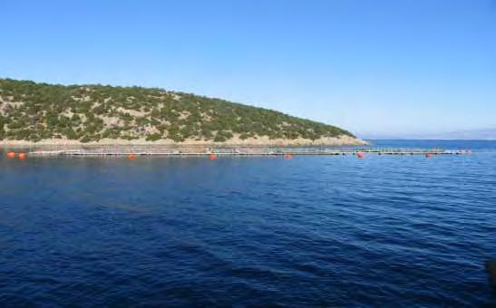 στη Μηλίνα. Εικόνα 2.3.