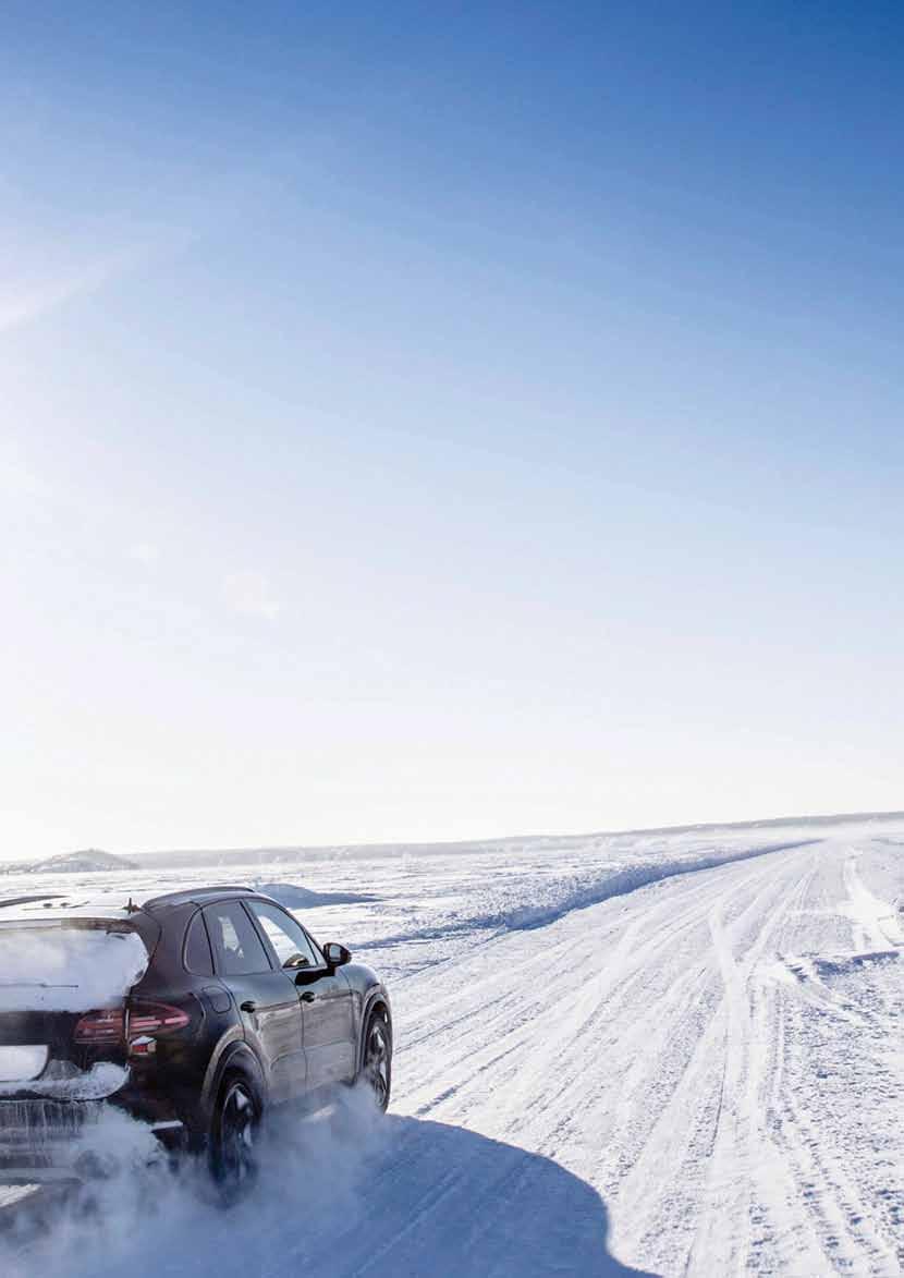 T U R T L E W A X ROZMRAZOVAČ OKIEN DE-ICER Rýchlo a efektívne odstraňuje námrazu a ľad z čelného skla a svetiel 4,99 / 750 ml AUTOKEFA DREVENÁ Metla na sneh s drevennou