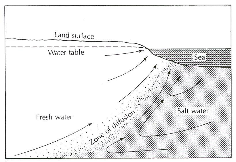 Κυκλοφορία γλυκού και αλμυρού υπόγειου νερού στη ζώνη διάχυσης σε ένα παράκτιο υδροφορέα