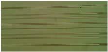 Ghiduri optice din SU8 Thickness: 2 5 μm Width: 5-50 μ m Ghiduri de unda din SU8 si