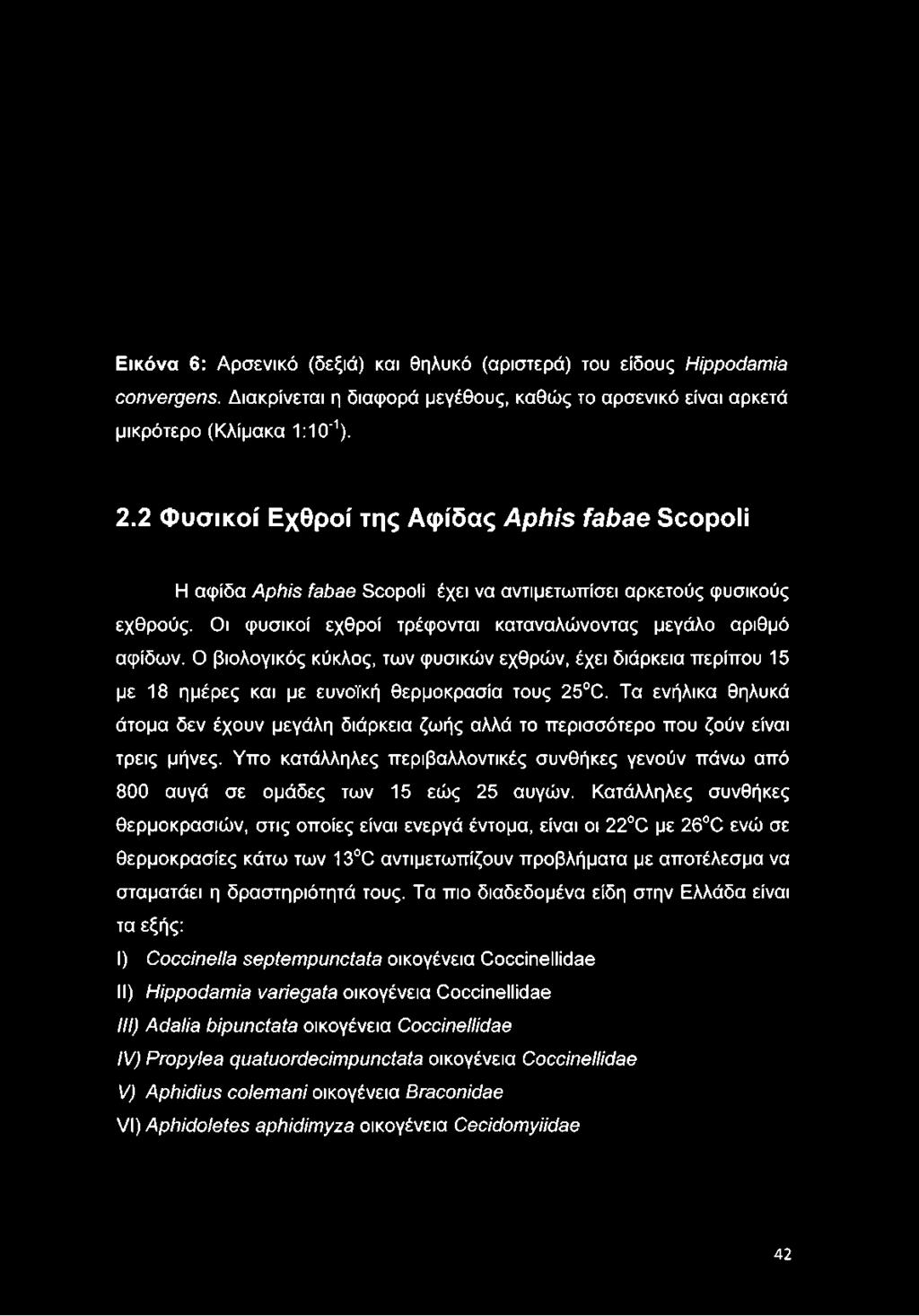 2 Φυσικοί Εχθροί της Αφίδας Aphis fabae Scopoli Η αψίδα Aphis fabae Scopoli έχει να αντιμετωπίσει αρκετούς φυσικούς εχθρούς.