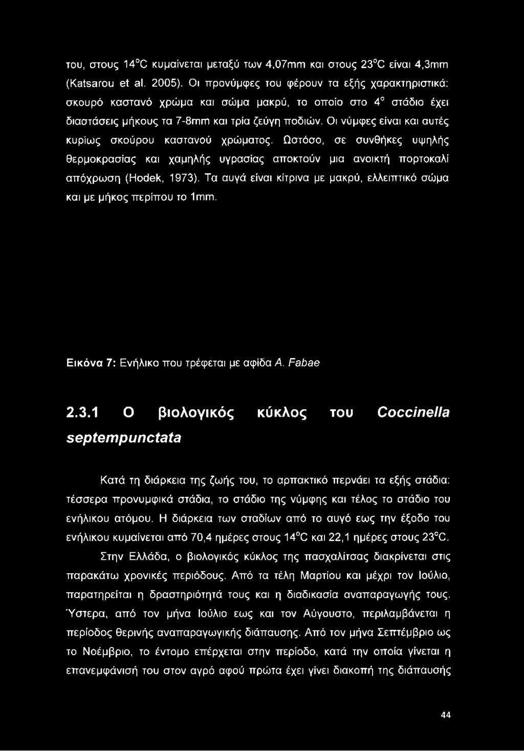 Οι νύμφες είναι και αυτές κυρίως σκούρου καστανού χρώματος. Ωστόσο, σε συνθήκες υψηλής θερμοκρασίας και χαμηλής υγρασίας αποκτούν μια ανοικτή πορτοκαλί απόχρωση (ΗοάβΚ, 1973).