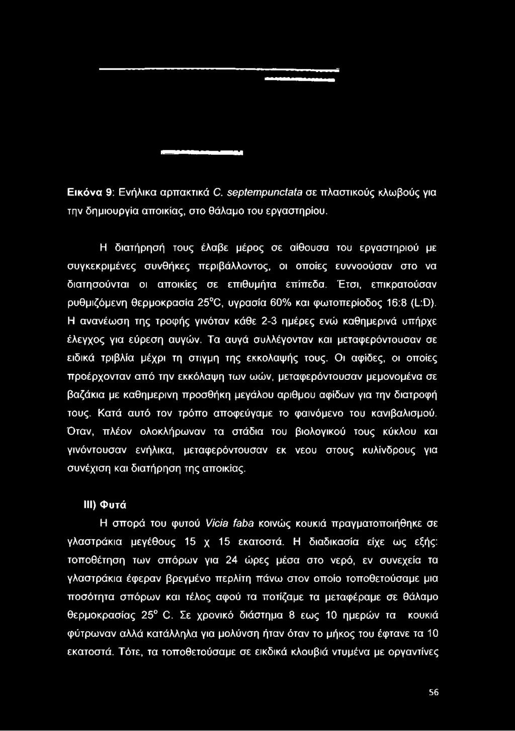 Έτσι, επικρατούσαν ρυθμιζόμενη θερμοκρασία 25 C, υγρασία 60% και φωτοπερίοδος 16:8 (L:D). Η ανανέωση της τροφής γινόταν κάθε 2-3 ημέρες ενώ καθημερινά υπήρχε έλεγχος για εύρεση αυγών.