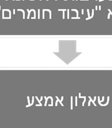 העניין שלהם בטופס המתוקשבת (בשני