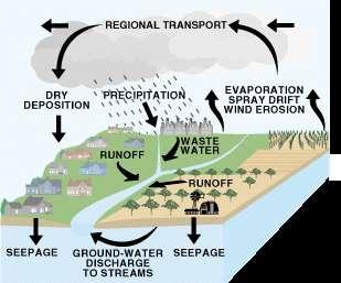 Pesticides in Surface Waters.