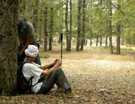شوح أرز وقيقب في محمية حرش اهدن المواقع المحمي ة المواقع المحمي ة المهم ة في لبنان هي بحماية وزارة البيئة والزراعة والسياحة والثقافة )المصن فة من ق بل منظ مة األونسكو كمواقع تراث عالمي( وذلك بموجب ات
