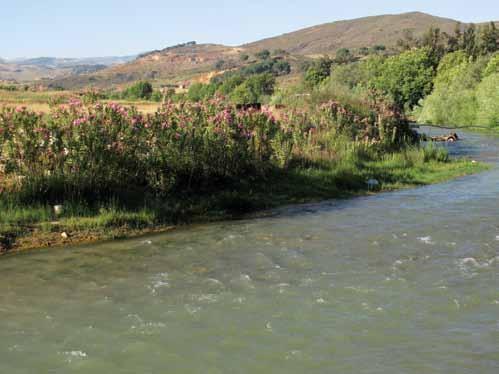 نهر الليطاني في لبنان أطول وأكثر األنهر المتنازع عليها 52 البيئة في لبنان: الواقع واالتجاهات 2010 ونموذج التدف ق ثالثي األبعاد والميزاني ات المخص صة للمياه الجوفي ة والتوق عات لكميات المياه الممكن