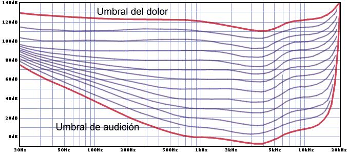 Na cóclea que é un tubo óseo aproximadamente 34 mm de longo, chea de líquido e en espiral como a cuncha dun caracol, existe unha proxección ósea ou unha membrana chamada membrana basilar que corre ao