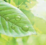 Production (QA & QK series) Developed 20