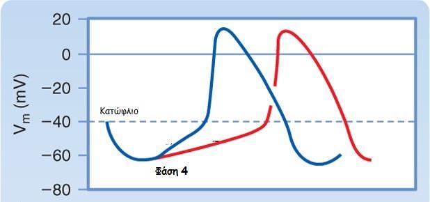 Ομάδα II : β-αποκλειστές Μηχανισμός δράσης: Δυναμικό ενέργειας φλεβόκομβου- κκκόμβου προσθήκη β blocker Ελαττώνουν την κλίσης της καμπύλης