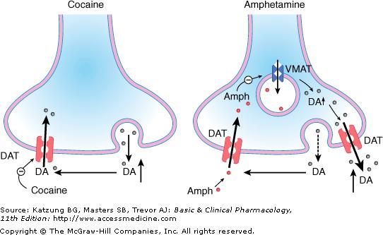 Κοκαΐνη Αμφεταμίνη Φαρμακοθεραπεία ναρκοληψίας συνδρόμου Ελλειματικής Προσοχής