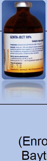 Cenamicină 10% Plus) Ceftiofur (Cevaxel 50 mg/ml, Excenel 50 mg/ml, Naxcel 100 mg/ml, Ceftiomax 50 mg/ml, Actionis 50 mg/ml) Marbofloxacin (Marbosyva 100 mg/ml, Boflox 100 mg/ml) Depomycin (Penstrep,