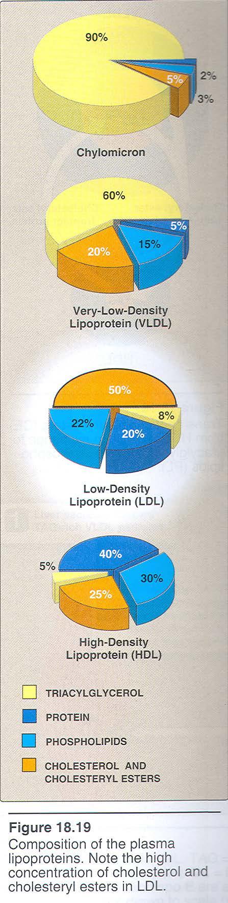 Sestava lipoproteinov TAG Fosfolipidi Holesterol in estri Proteini Hilomikroni +++ - - - VLDL ++ + + - LDL - + ++ +