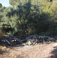 Από τη μελέτη όλων όσων αναπτύχθηκαν ανωτέρω προκύπτει ότι η παθογένεια του διοικητικού συστήματος είναι μεγάλη και σύνθετη ενώ διαφαίνεται δυσχερής όσο και δυσεύρετη από άποψη πολιτικής βούλησης (σε