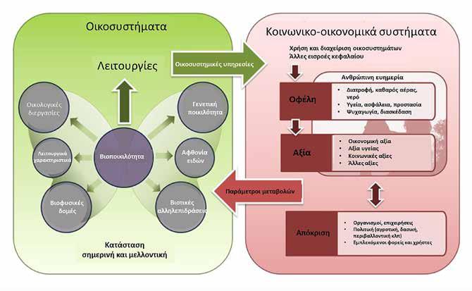 Περιβαλλοντική Ευθύνη - Οικονομική Αποτίμηση Περιβαλλοντικής Ζημίας 2 η Ενότητα Εικόνα 2.