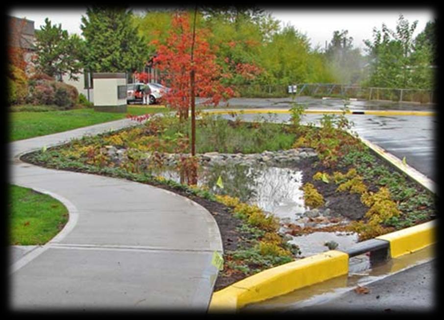 Κήποι βροχής (rain gardens) Source : Boston Complete Streets,