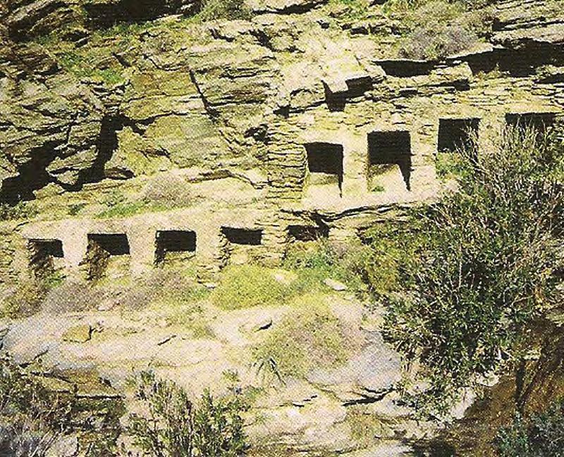 Εκεί παραμένουν για μερικές μέρες και μετά, αν δεν συλληφθούν από τον μελισσοκόμο, πετάνε μακριά και χάνονται.