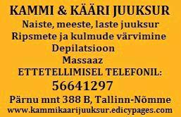 Teisele kohale jäi Kris Kool ning 3. koha sai Iris Lillemägi. Eriauhinna artistlikkuse eest said Markus Polis Pääsküla gümnaasiumist ja Säde Konnapere Männimudila lasteaiast.