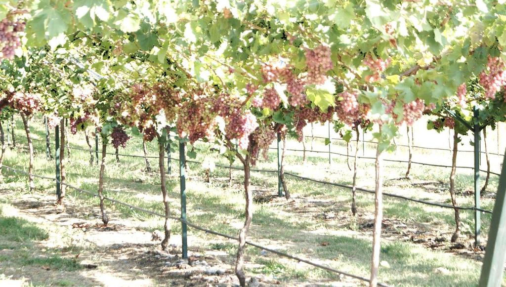 Γυμνάσιο Αρχαγγέλου Λακατάμειας 2015-16 «Από τον