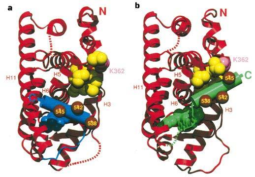 Kauppi et al.