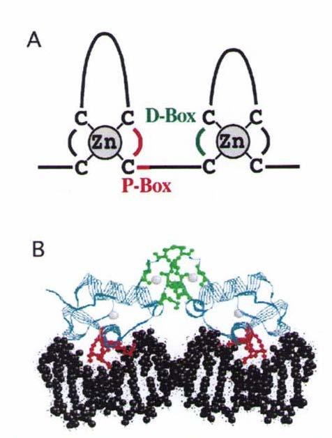 M et al.