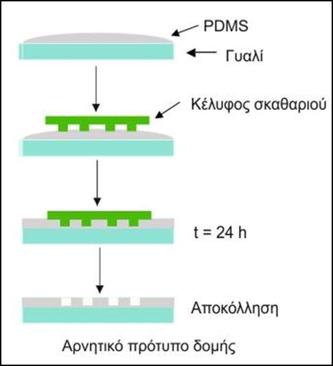 Εικόνα 8.2: Σχηματική απεικόνιση διαδικασίας αποτύπωσης Το σχήμα 8.2 παρουσιάζει την διαδικασία για την αποτύπωση της δομής του κελύφους και του εσωτερικού φτερού του σκαθαριού.