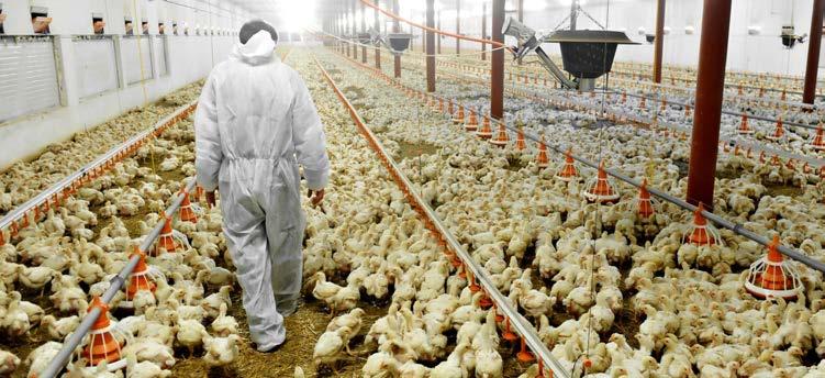 جب ت اح ام اتجاه المرور من بوت الطور الصغ ة سن ا إىل بوت الطور ال أ ك جب إرتداء مالبس خاصة