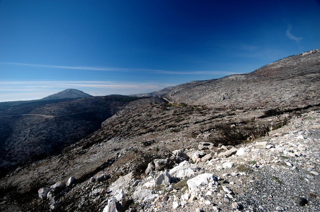 ΦΥΣΙΟΛΟΓΙΑ ΚΑΤΑΠΟΝΗΣΕΩΝ ΤΩΝ ΦΥΤΩΝ