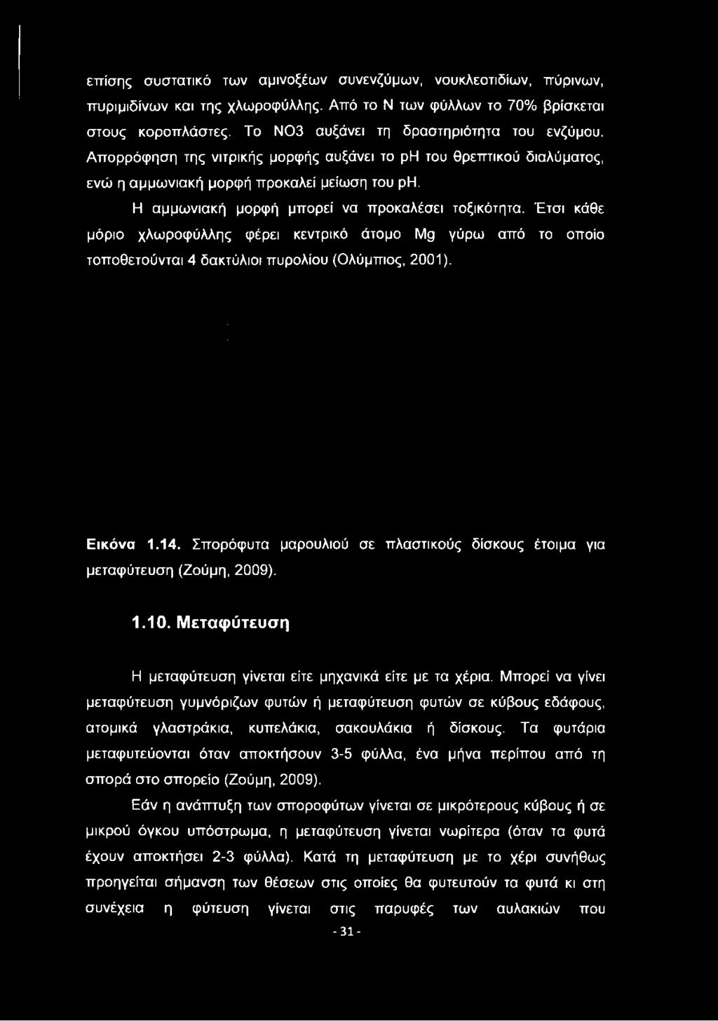 Έτσι κάθε μόριο χλωροφύλλης φέρει κεντρικό άτομο Mg γύρω από το οποίο τοποθετούνται 4 δακτύλιοι πυρολίου (Ολύμπιος, 2001). Εικόνα 1.14.