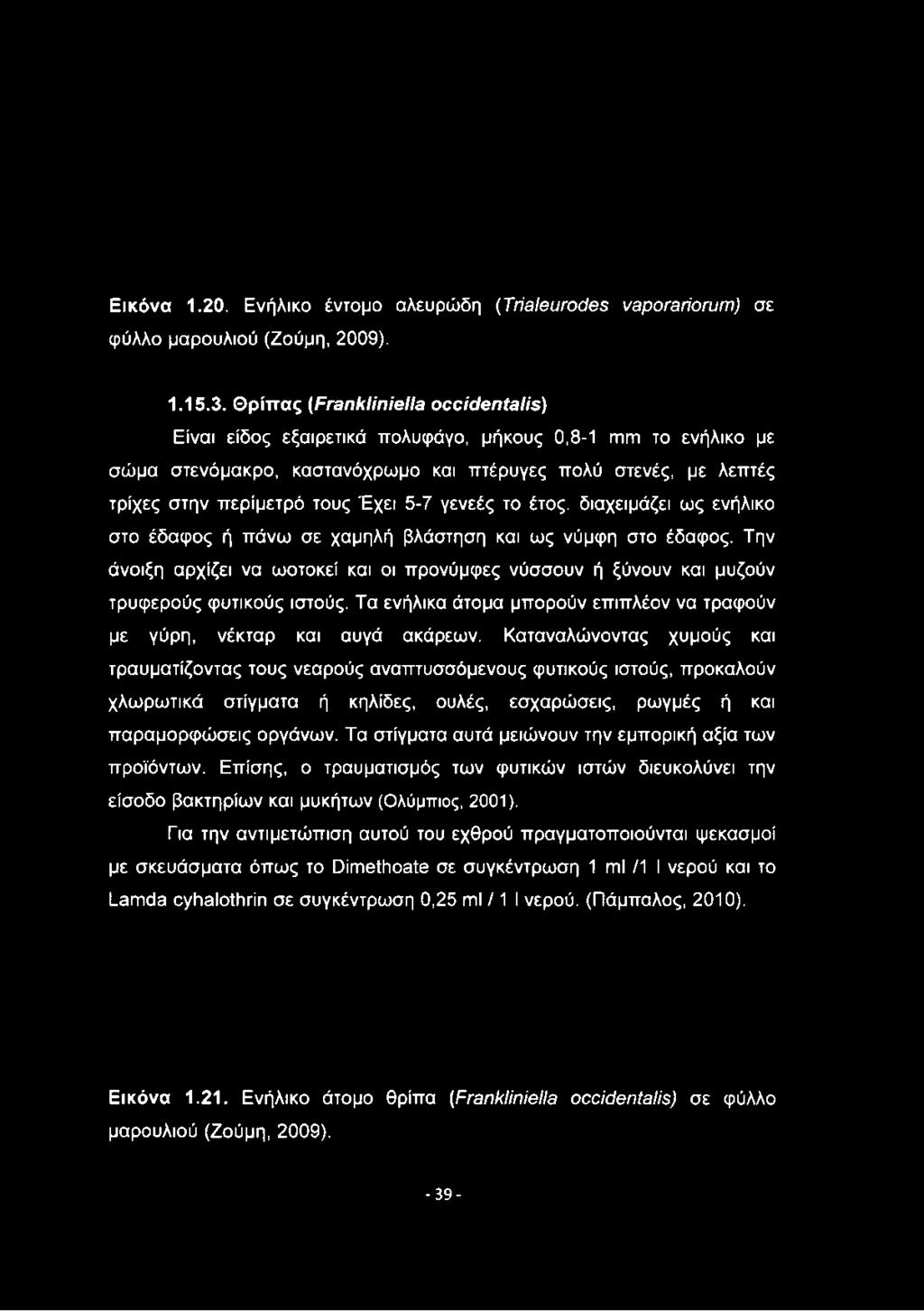 στενές, με λεπτές τρίχες στην περίμετρό τους Έχει 5-7 γενεές το έτος, διαχειμάζει ως ενήλικο στο έδαφος ή πάνω σε χαμηλή βλάστηση και ως νύμφη στο έδαφος.