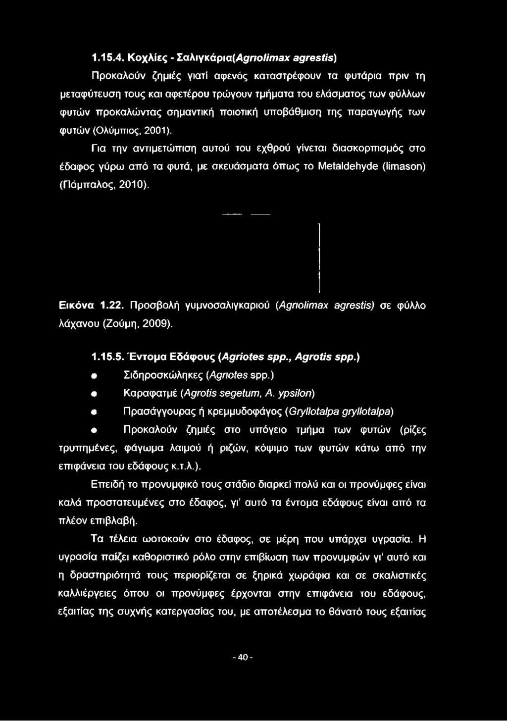 σημαντική ποιοτική υποβάθμιση της παραγωγής των φυτών (Ολύμπιος, 2001).